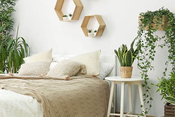 Interior design suitable for a relaxing bedroom